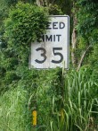 Hidden Speed Limit Sign